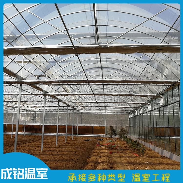 连栋温室 成铭温室工程 青州定制连栋薄膜温室