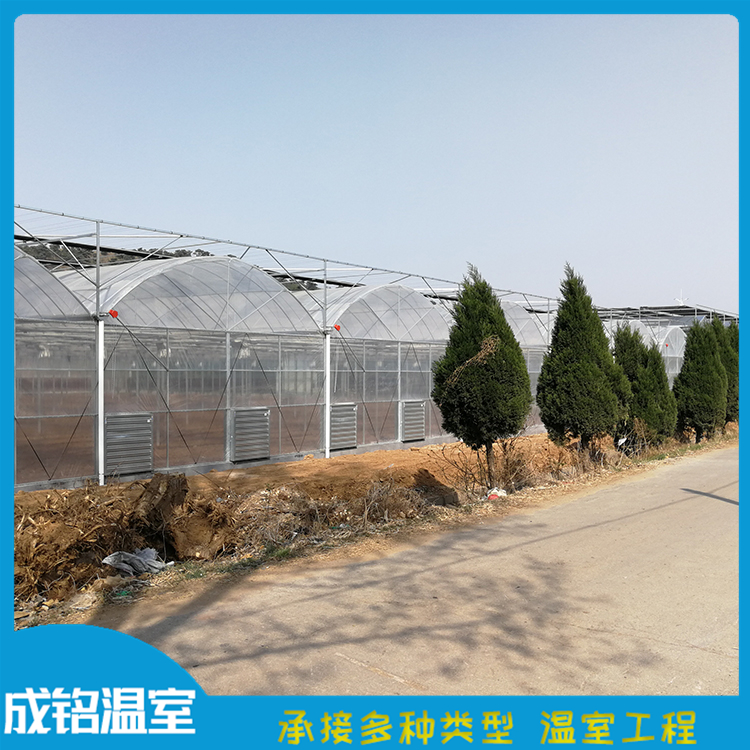 选材优良 温室工程建设 山东薄膜连栋温室 温室工程建设