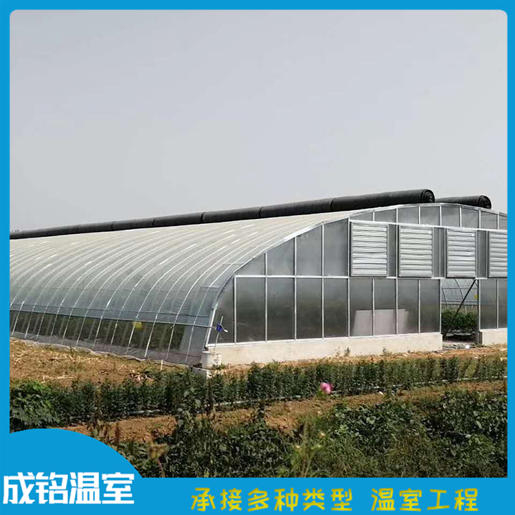 售后服务好 建设商连栋薄膜温室 青州种植大棚 建设商连栋薄膜温室