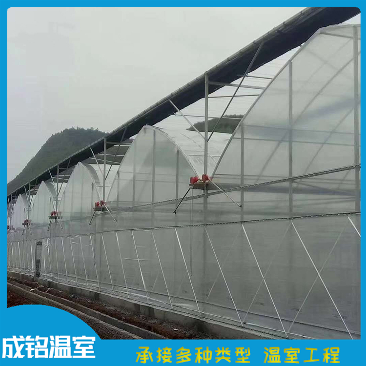 实地测量 承接温室工程 山东薄膜温室 承接温室工程