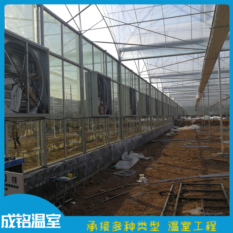 口碑好 承接温室工程 山东蔬菜薄膜大棚 承接温室工程