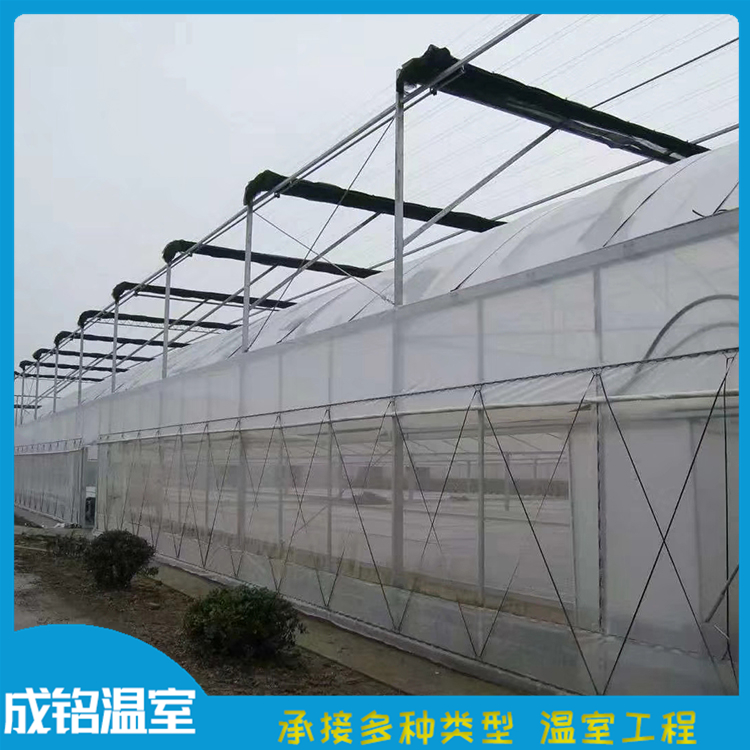 售后服务好 建设连栋薄膜温室 青州连栋温室 建设连栋薄膜温室