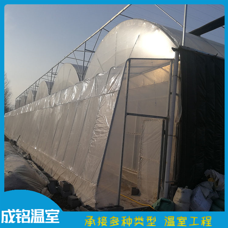 建设速度快 连栋薄膜温室价格 山东温室大棚 连栋薄膜温室价格