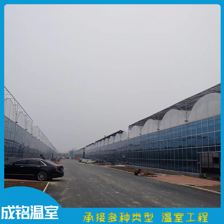 建设速度快 承建连栋薄膜温室 青州连栋温室 承建连栋薄膜温室