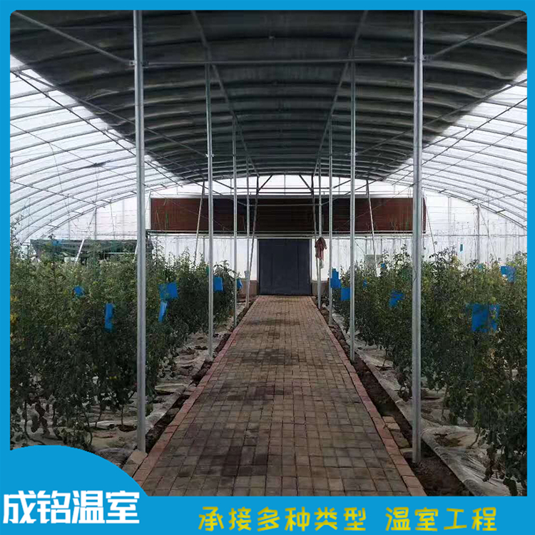 蔬菜薄膜大棚 成铭温室工程 青州连栋薄膜温室设计