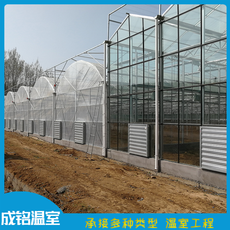 连栋温室 选材优良 青州连栋薄膜温室价格