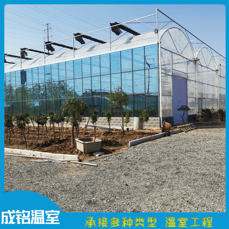 建设速度快 承接温室工程 青州连栋温室 承接温室工程