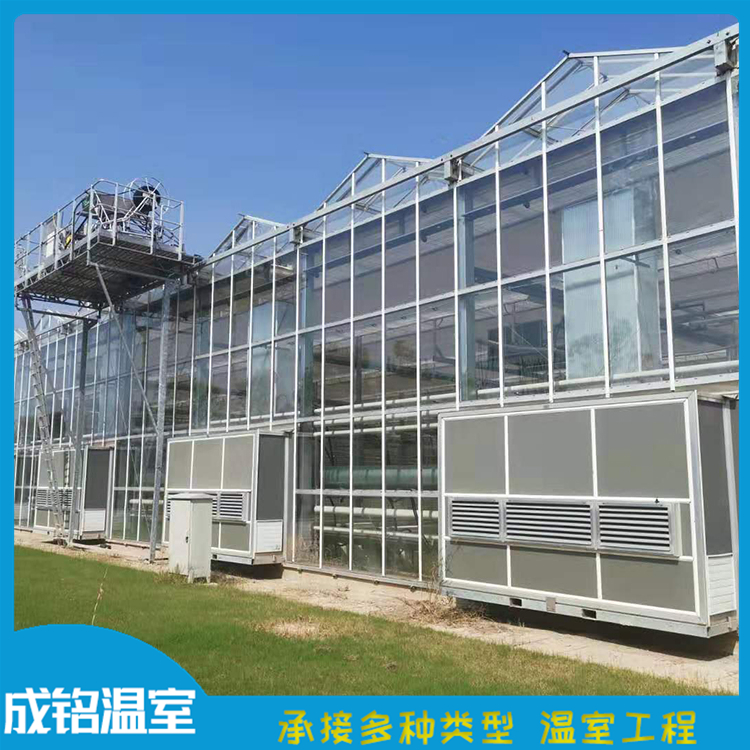 售后服务好 建设连栋薄膜温室 山东温室大棚 建设连栋薄膜温室