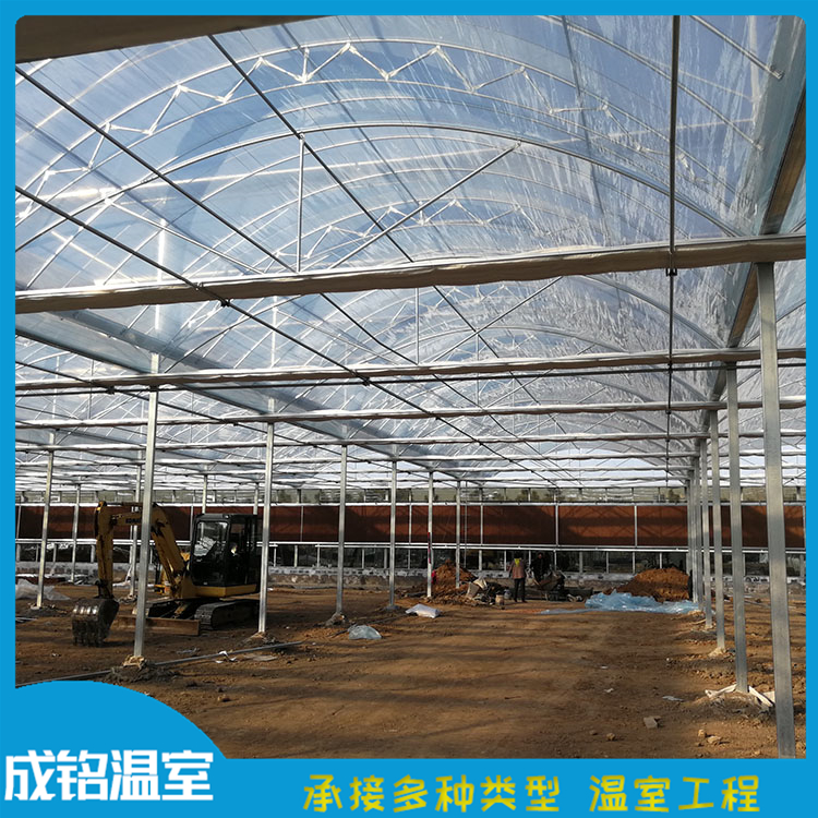 选材优良 承建连栋薄膜温室 山东薄膜连栋温室 承建连栋薄膜温室