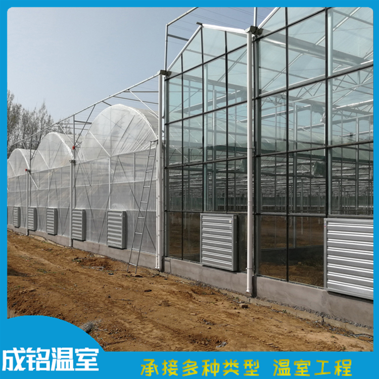 选材优良 定制连栋薄膜温室 青州薄膜连栋蔬菜大棚 定制连栋薄膜温室
