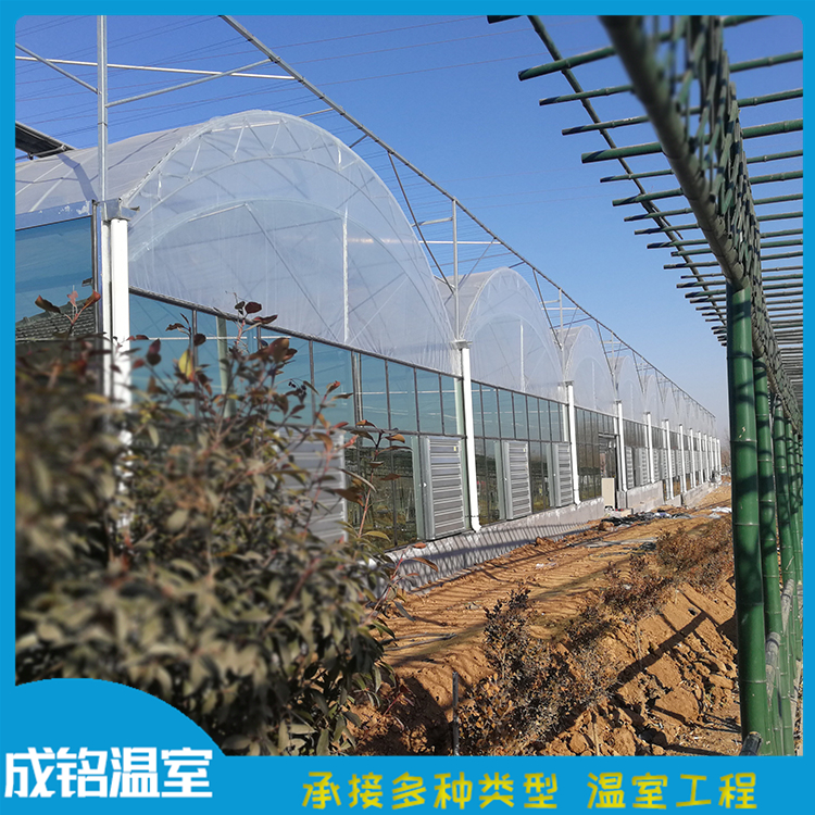 售后服务好 连栋薄膜温室设计 青州温室大棚 连栋薄膜温室设计