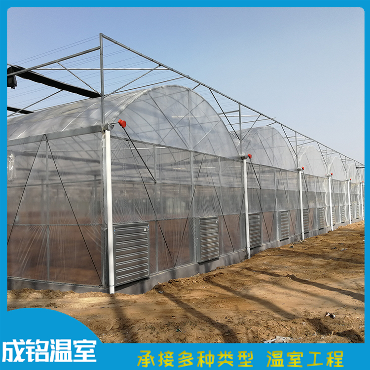 口碑好 温室工程建设 青州温室大棚 温室工程建设