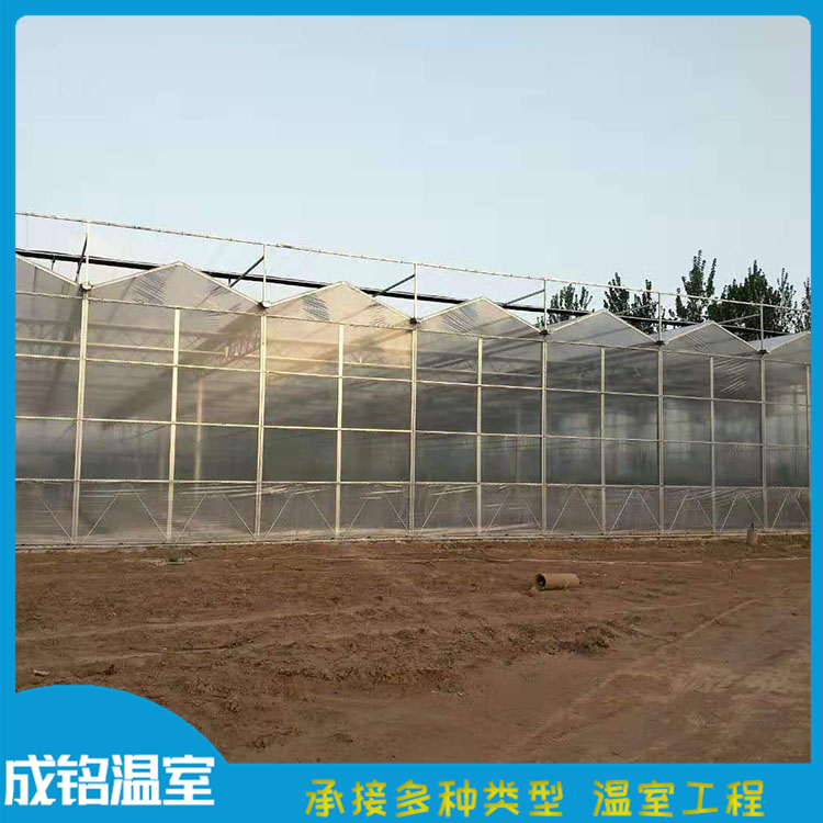 连栋温室 建设速度快 青州建设商连栋薄膜温室