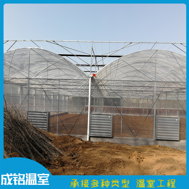 售后服务好 承接温室工程 山东蔬菜薄膜大棚 承接温室工程