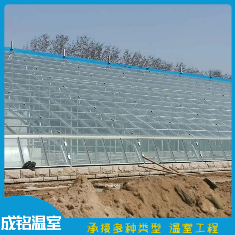 简易花卉育苗温室 售后服务好 青州承建连栋薄膜温室