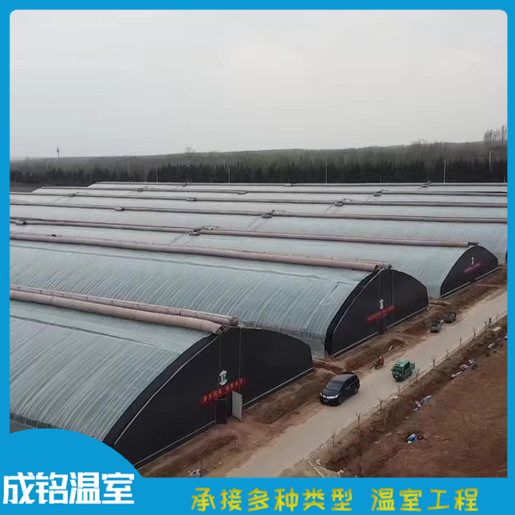 薄膜连栋温室 售后服务好 山东建设连栋薄膜温室