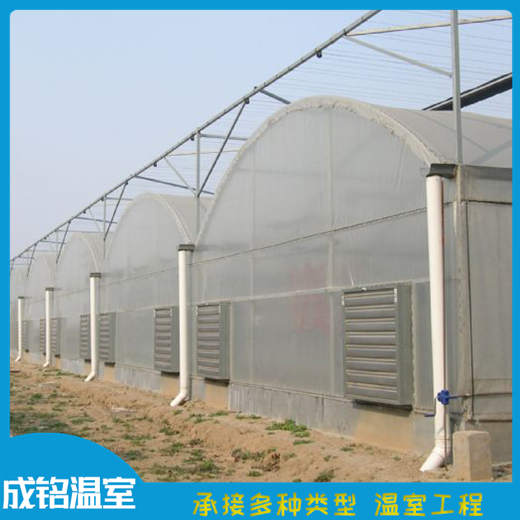 连栋薄膜温室 选材优良 青州温室工程建设
