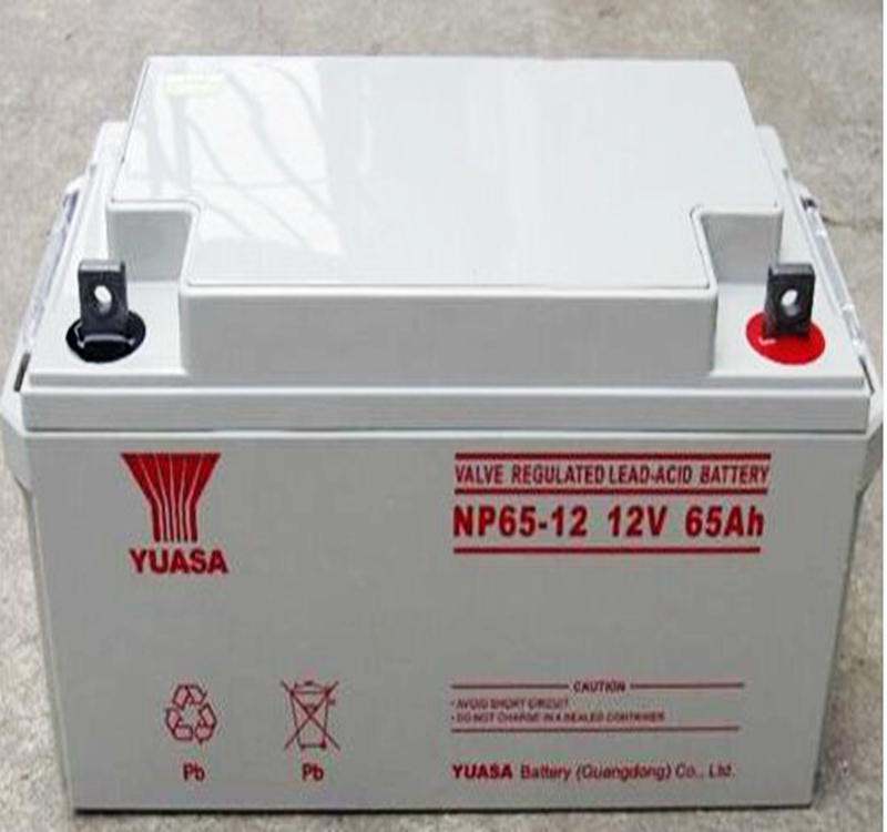 汤浅蓄电池NP65-12 12V65AH铅酸免维护 直流屏 EPS/UPS 电力设备电源正品包邮