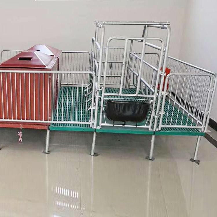 母猪产床 养猪设备 母猪用分娩床 双体单体母猪产床 