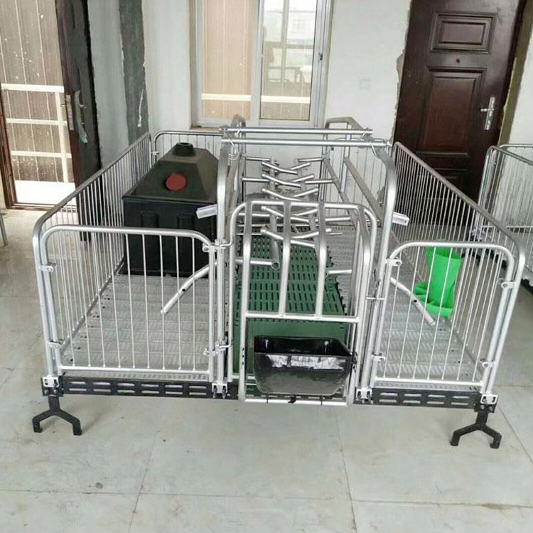 母猪产床 新型养猪设备母猪产床 单体母猪产床 复合板母猪产床