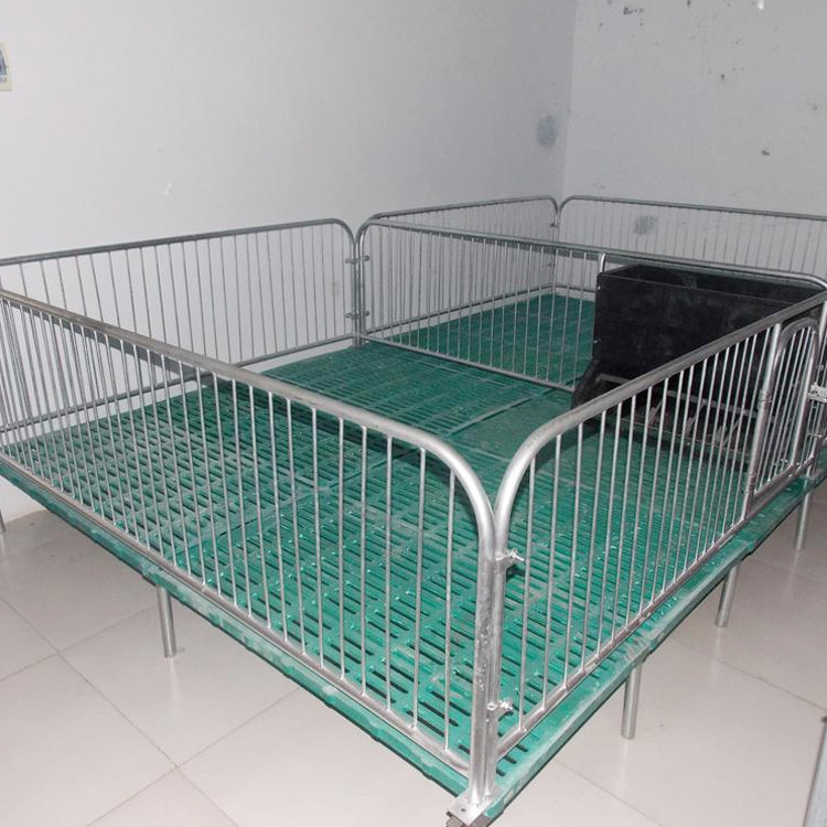 小猪保育床 保育床 断奶仔猪保育床 双体猪用保育床 