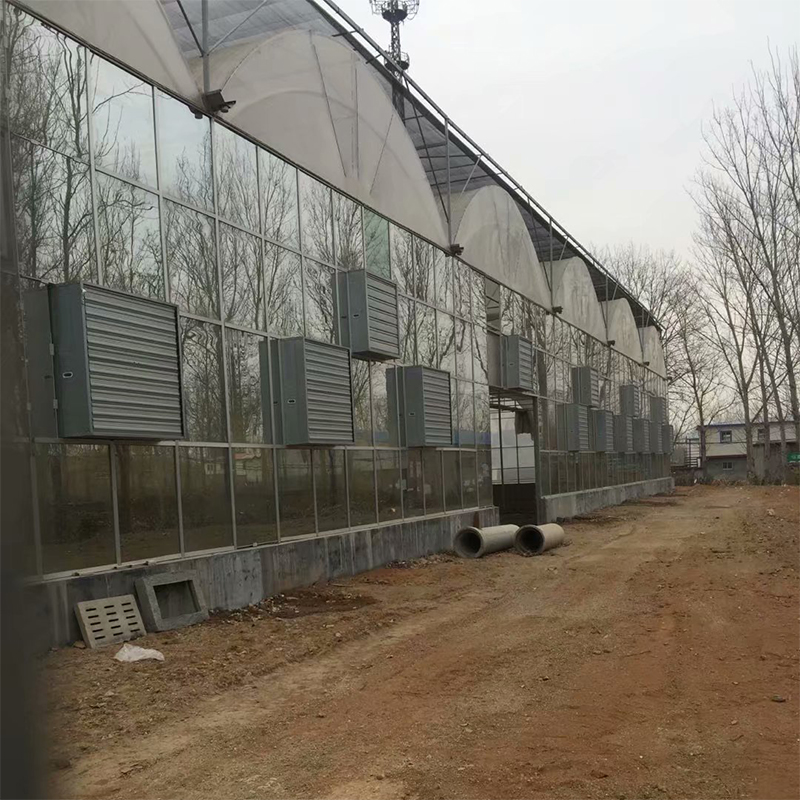 负压风机 厂家生产 畜牧养殖换气通风设备
