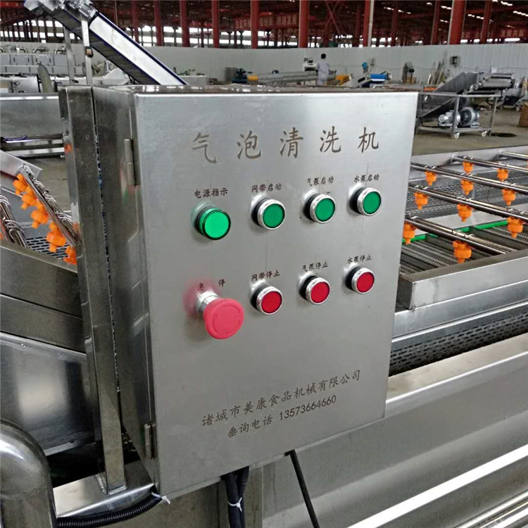 气泡清洗机带去毛发装置 小型高压喷淋清洗机 商用化蔬菜清洗机生产商