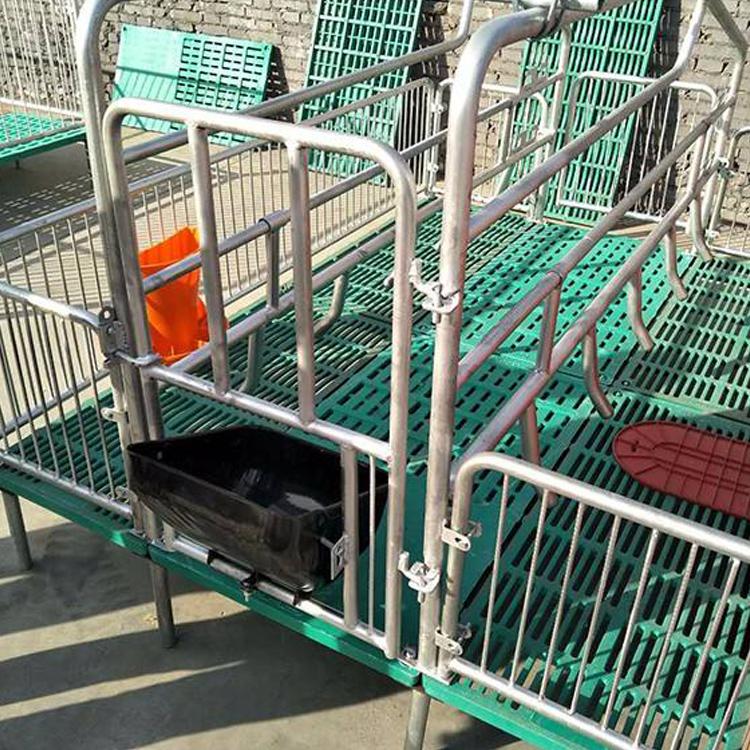 母猪产床 双体母猪产床 全复合猪产床 母猪分娩床 