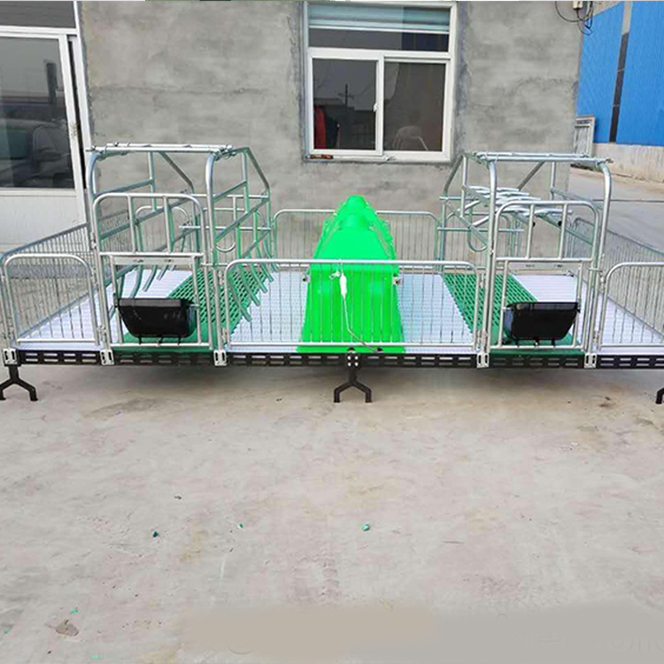 母猪产床 两用型母猪产床 双体母猪产床 多种尺寸可定制