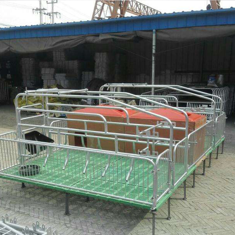 双体全复合板母猪产床 体母猪产床 全复合板母猪产床 养猪设备