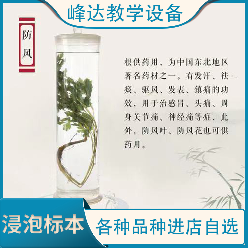 标本制作 保色浸制标本 植物浸制标本  植物浸泡标本   中药浸渍标本 峰达建设标本馆 包邮