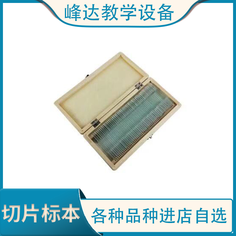 厂家直供 生物切片标本 实验教学标本 显微镜切片标本 支持定制