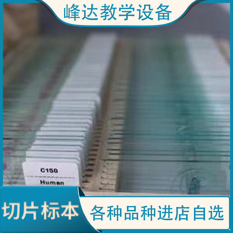教学切片，峰达老店欢迎联系合作