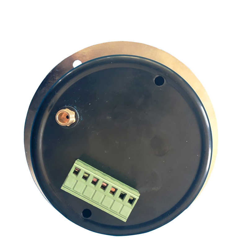 电接点真空压力表制造商 标准MODBUS 4-20mA压力表  大鹏电子