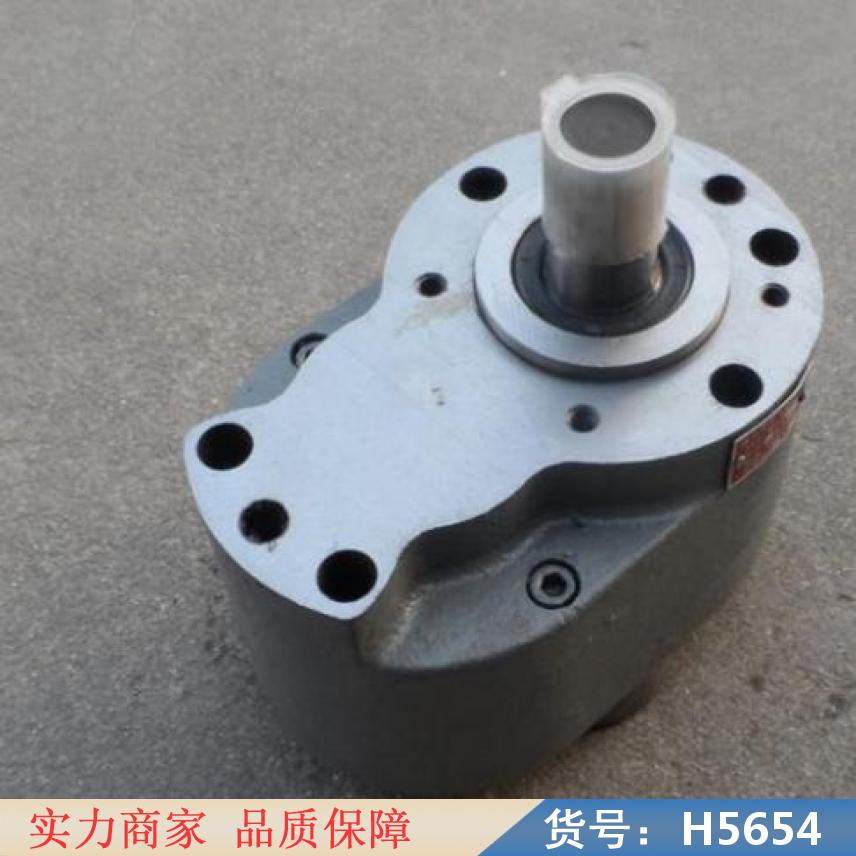 慧采圆弧齿轮泵 渣油泵 小流量齿轮油泵货号H5654