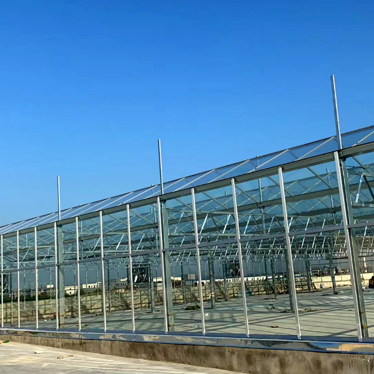 智能玻璃大棚设计 江苏智能玻璃大棚 采光温室大棚