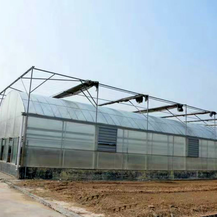 玻璃温室大棚建造公司 千汇建造玻璃温室大棚 观光温室大棚