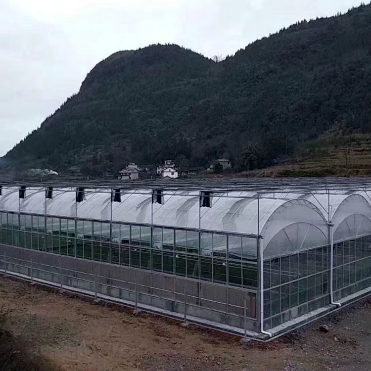 薄膜大棚造价 连栋温室大棚 观光温室大棚工程