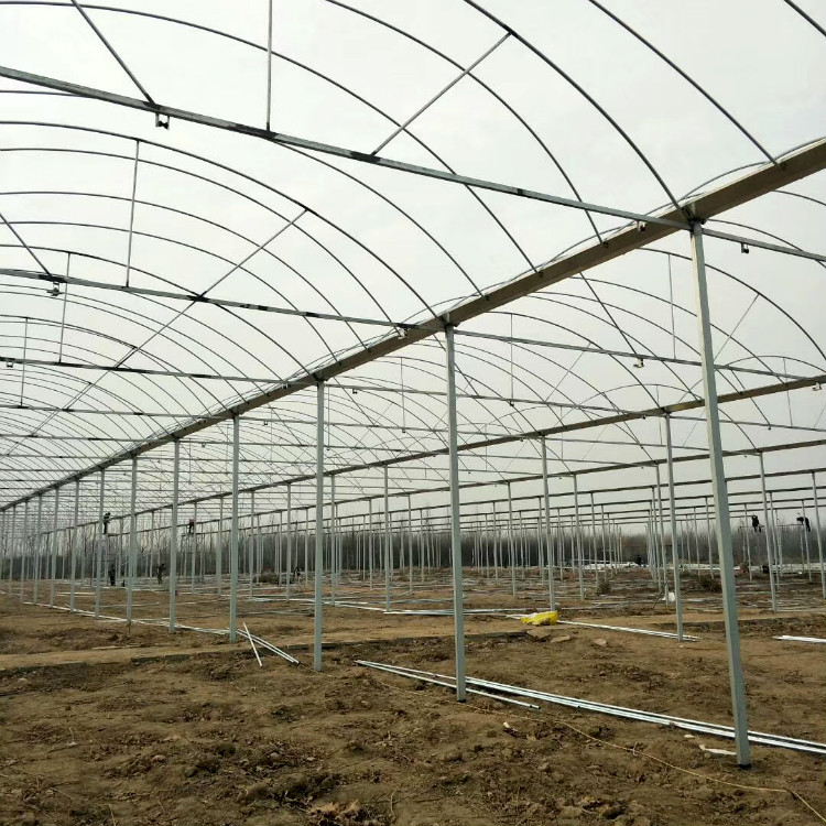 玻璃大棚材料 吉林玻璃大棚 纹络温室大棚
