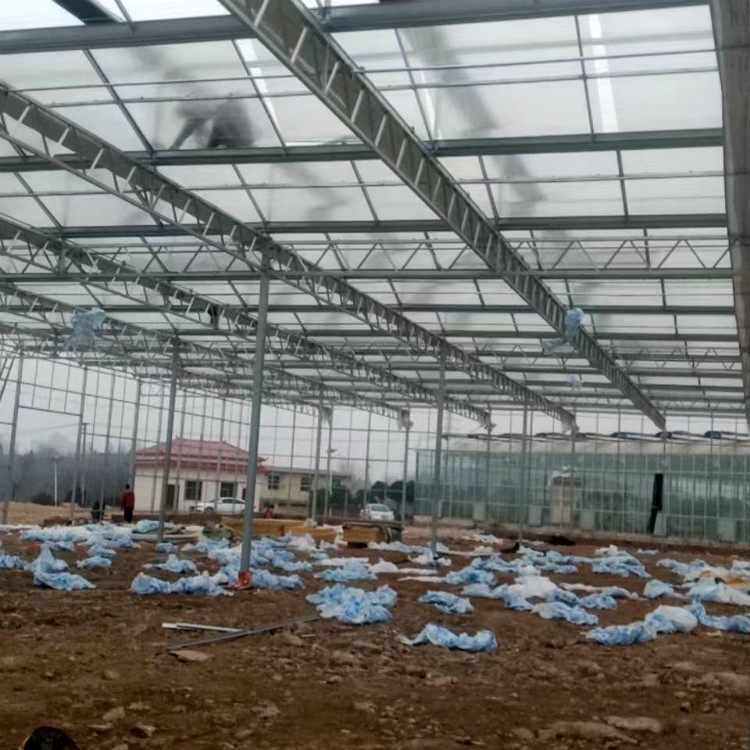纹络温室大棚-蔬菜温室大棚设计 玻璃温室大棚价格