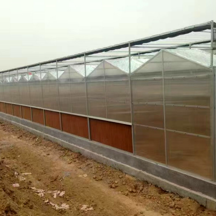 薄膜连体大棚 花卉温室大棚 科研温室大棚承建商