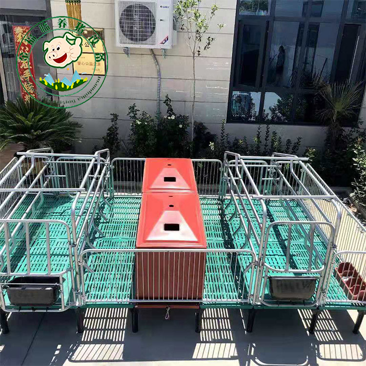 欧式母猪产床 加工加厚母猪产床 母猪双体分娩床