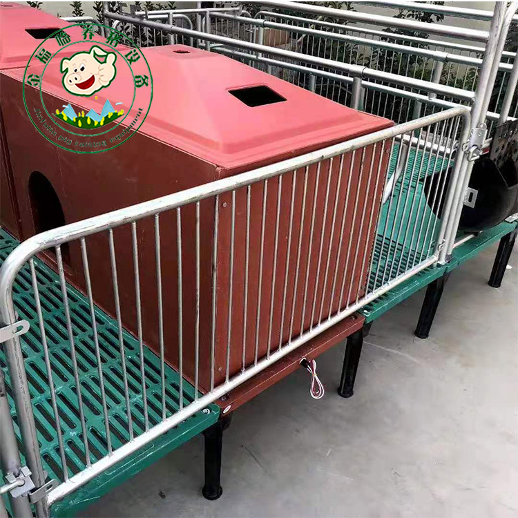 双体产床供应 产保一体产床 加工铸铁母猪产床
