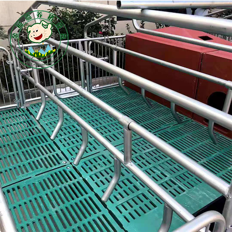 复合母猪产床 出售母猪产床 单体母猪产床 质量放心