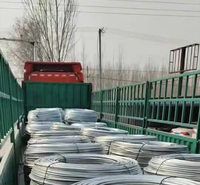 现货供应 热镀锌盘条 避雷用镀锌圆钢 高锌层光亮盘圆 按时发货