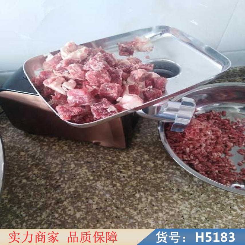 慧采灌肠绞肉机 小型220伏家用绞肉机灌肠机 多功能绞肉机和灌肠货号H5183
