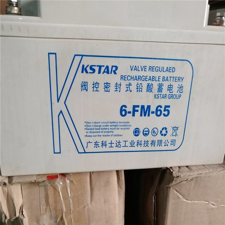 科士达蓄电池12V65AH 6-FM-65 UPS电源/直流屏/EPS/铅酸免维护/风能发电/电力/