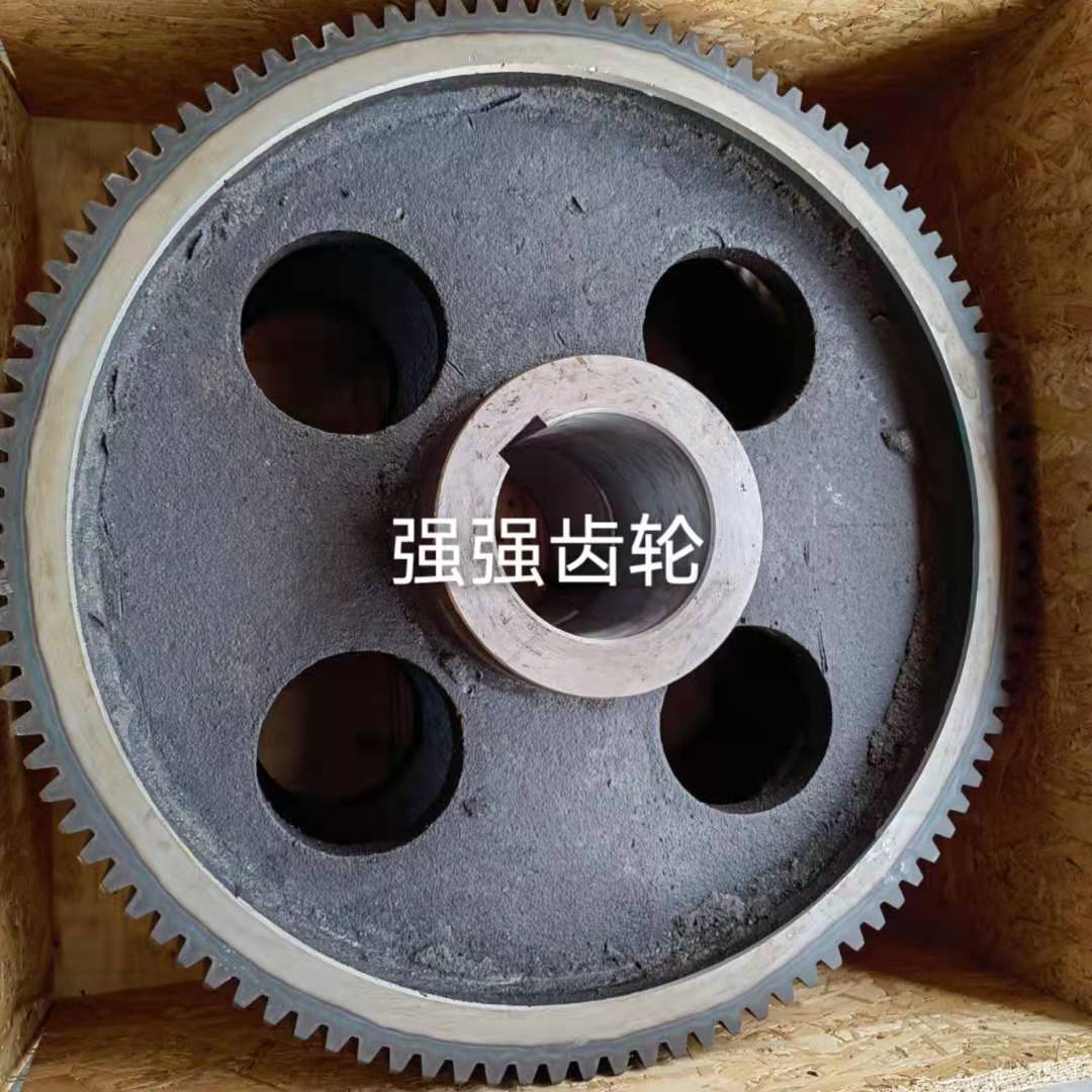 按需定制 铁制齿轮 非标齿轮 食品加工机械传动链轮 传动齿轮