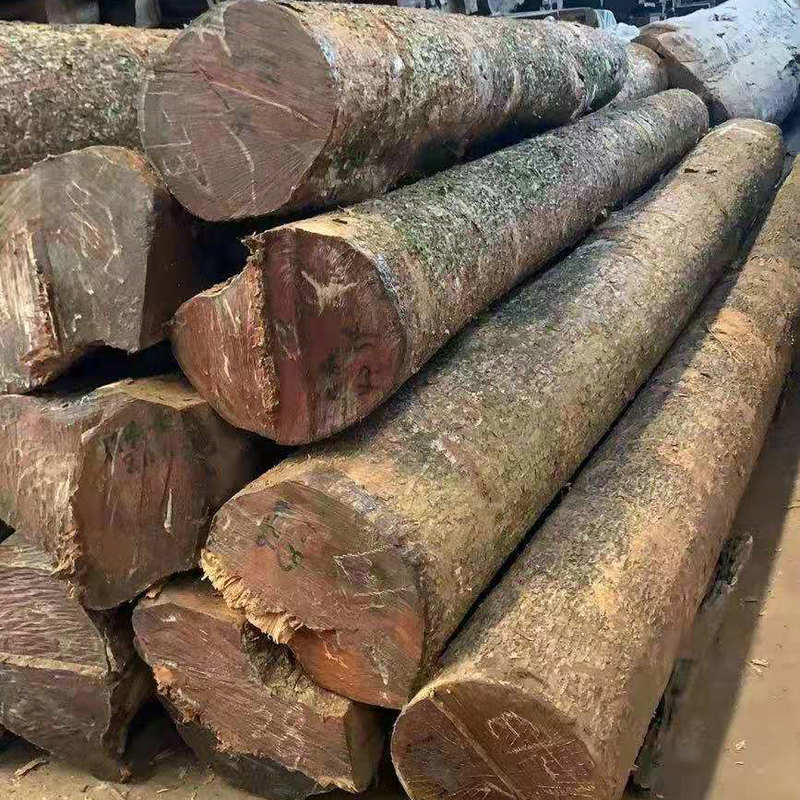 小叶金丝楠原木 小叶楠 小叶桢楠 家具工艺品料量大从优