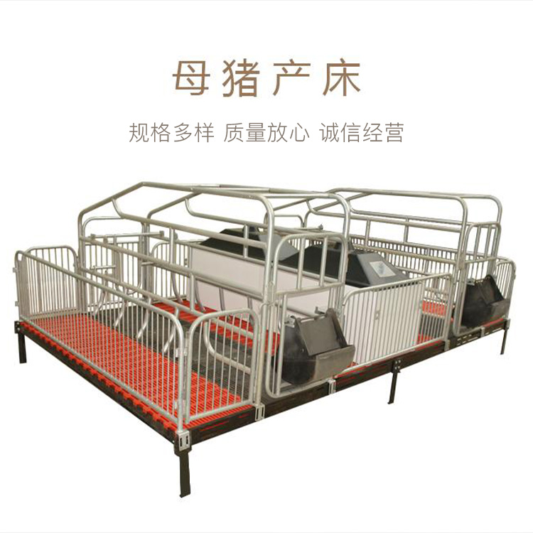 按需供应 母猪产床 产保一体床 双体单体母猪产床 畜牧养殖设备